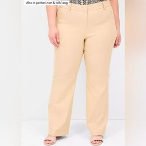 Lane Bryant 4 season-pants, Plus Size 24